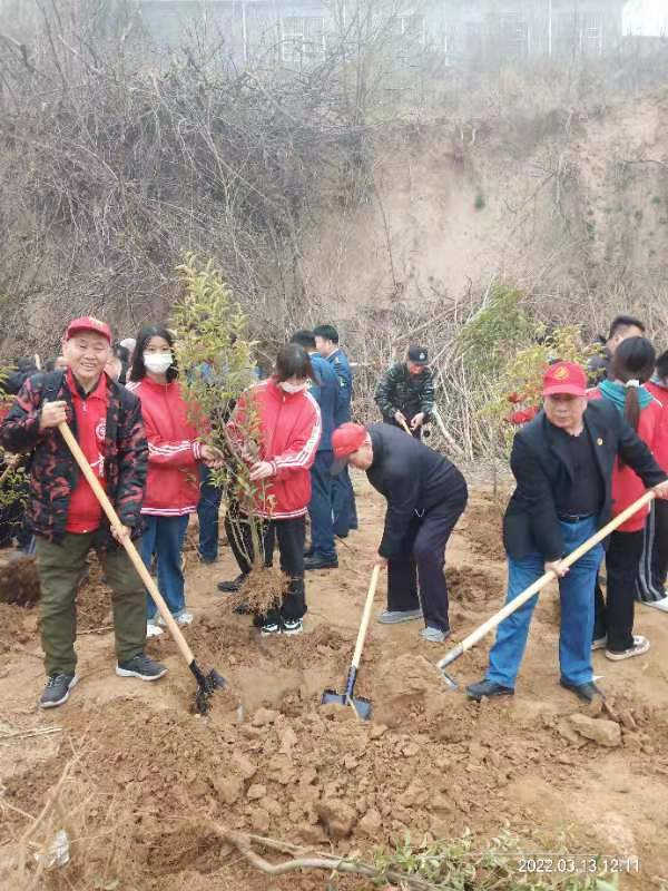 璀璨中原：植树造林和谐美 风送花香蝶时来