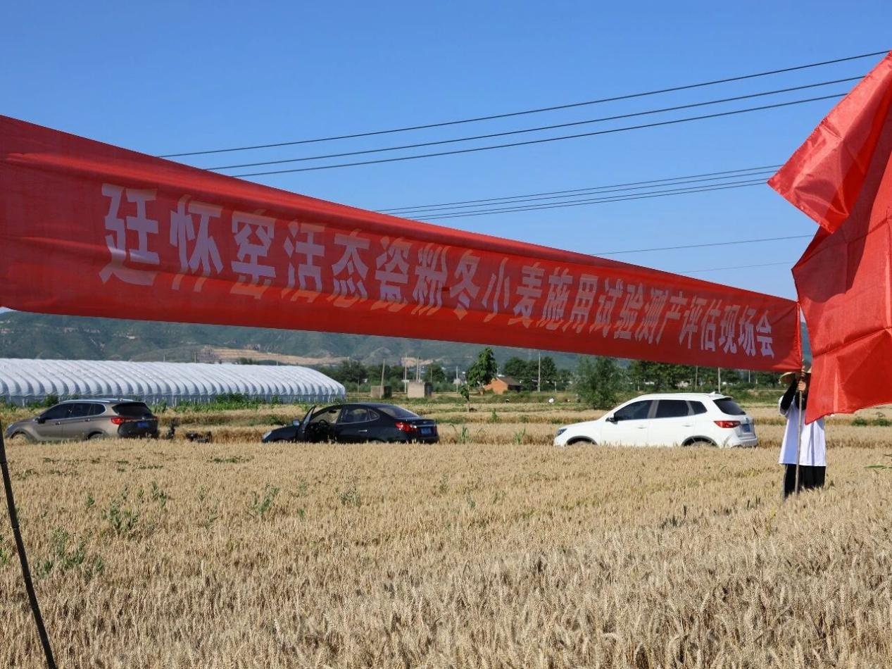 图片10.png